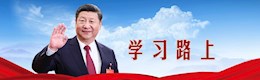 学习进行时