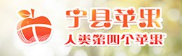 宁县苹果