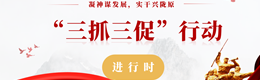 “三抓三促”行动进行时