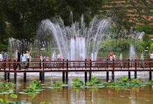 观光旅游